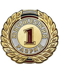 Присвоение спортивных разрядов 14.11.2025 г.