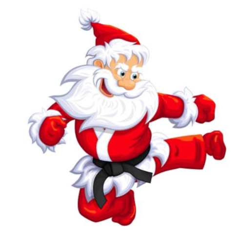 Кубок Деда Мороза 2025